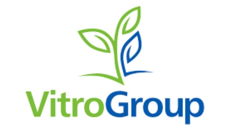 Logo Vitro Group