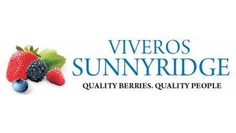 Logo Viveros Sunnyridge